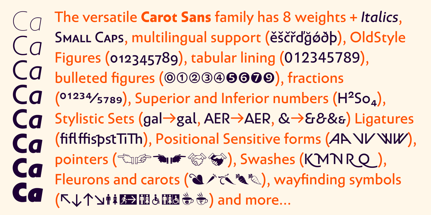 Пример шрифта Carot Sans #6